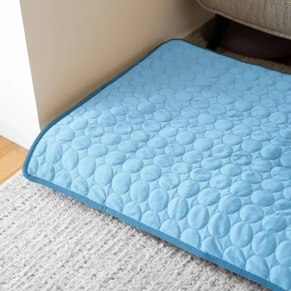 Tapis rafraîchissant bleu pour chien posé sur un tapis de salon